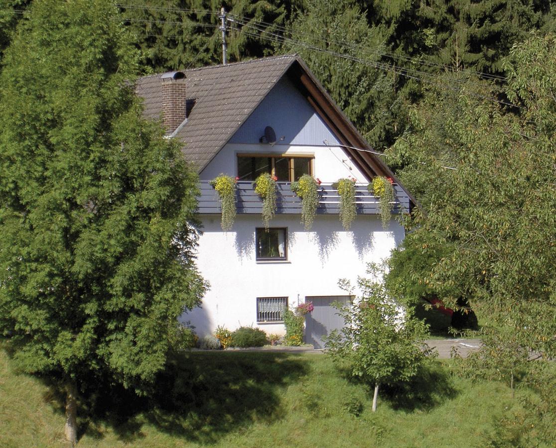 Haus Wolter Apartamento Gengenbach Exterior foto
